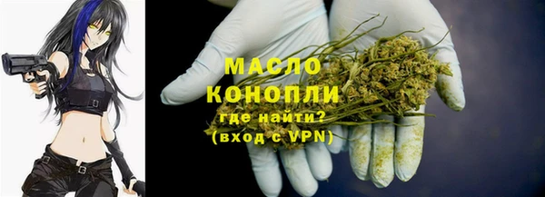 Альфа ПВП Бородино