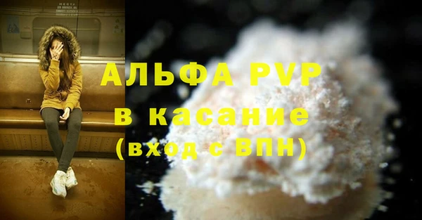 Альфа ПВП Бородино