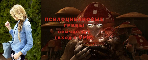 Альфа ПВП Бородино